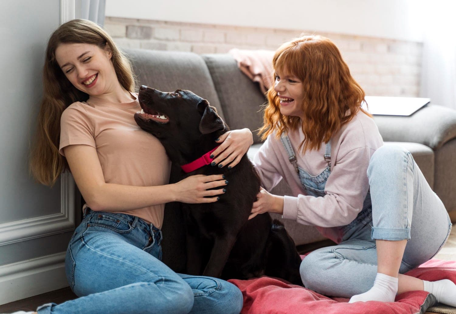 Supporting Beloved Pets with Companion Care Assistance