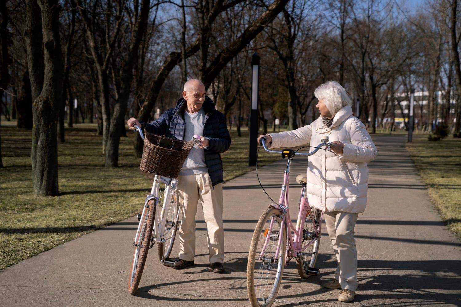 Enhancing Mobility: Comprehensive Support for Aging Individuals